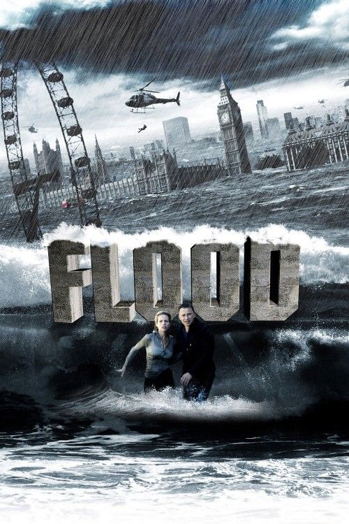 Flood (2007) Hindi Dubbed Movie download full movie